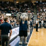 Big Ellie: The Heartwarming Elephant Behind the New York Liberty Mascot